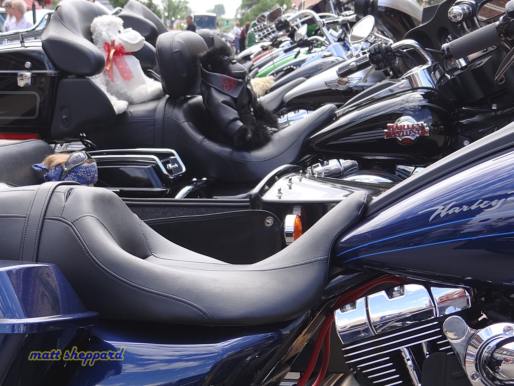 Rods & Hogs - More pixs by Matt Sheppard at Facebook - Like Us! 